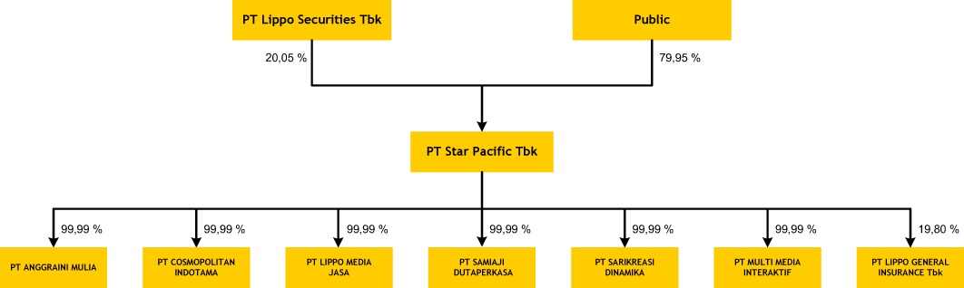 star-pacific-shares-ownership-structure